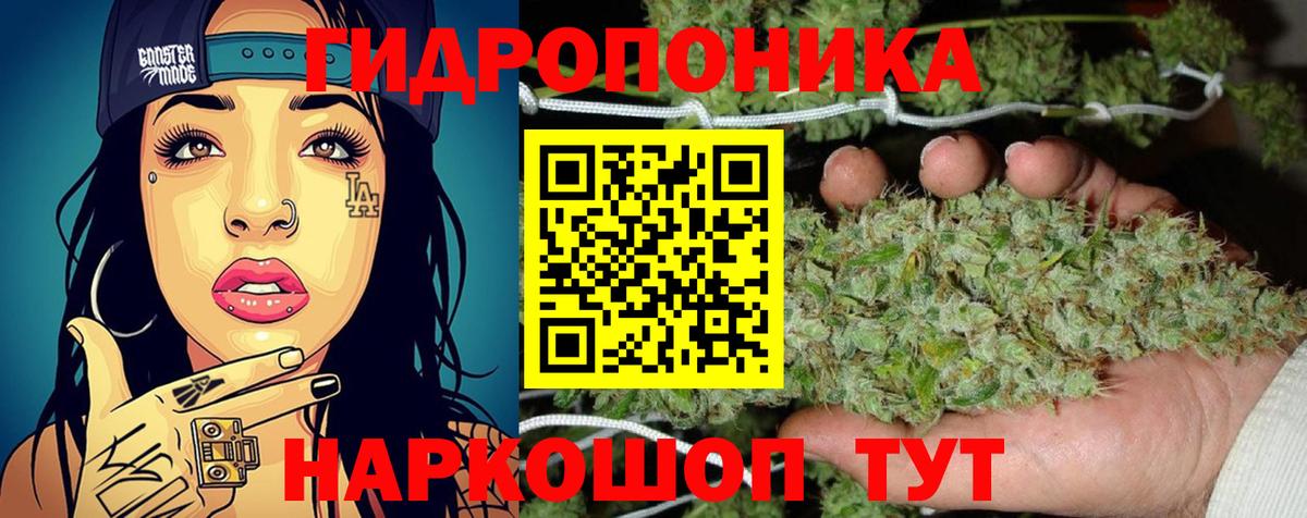 Каннабис индика Санкт-Петербург